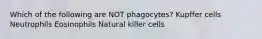 Which of the following are NOT phagocytes? Kupffer cells Neutrophils Eosinophils Natural killer cells