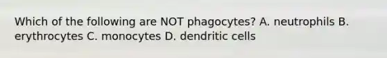 Which of the following are NOT phagocytes? A. neutrophils B. erythrocytes C. monocytes D. dendritic cells