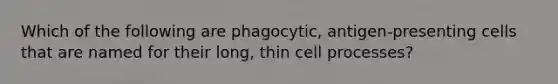 Which of the following are phagocytic, antigen-presenting cells that are named for their long, thin cell processes?