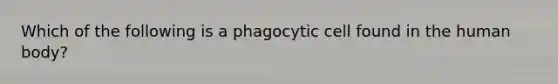 Which of the following is a phagocytic cell found in the human body?