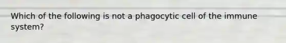 Which of the following is not a phagocytic cell of the immune system?