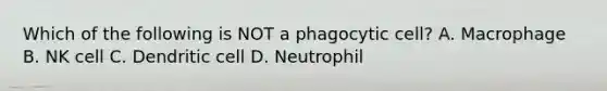 Which of the following is NOT a phagocytic cell? A. Macrophage B. NK cell C. Dendritic cell D. Neutrophil