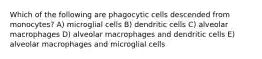 Which of the following are phagocytic cells descended from monocytes? A) microglial cells B) dendritic cells C) alveolar macrophages D) alveolar macrophages and dendritic cells E) alveolar macrophages and microglial cells