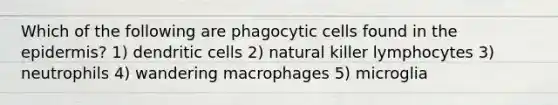 Which of the following are phagocytic cells found in the epidermis? 1) dendritic cells 2) natural killer lymphocytes 3) neutrophils 4) wandering macrophages 5) microglia