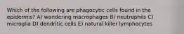 Which of the following are phagocytic cells found in the epidermis? A) wandering macrophages B) neutrophils C) microglia D) dendritic cells E) natural killer lymphocytes