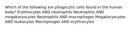 Which of the following are phagocytic cells found in the human body? Erythrocytes AND neutrophils Neutrophils AND megakaryocytes Neutrophils AND macrophages Megakaryocytes AND leukocytes Macrophages AND erythrocytes