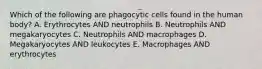 Which of the following are phagocytic cells found in the human body? A. Erythrocytes AND neutrophils B. Neutrophils AND megakaryocytes C. Neutrophils AND macrophages D. Megakaryocytes AND leukocytes E. Macrophages AND erythrocytes