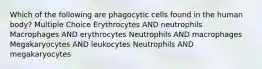 Which of the following are phagocytic cells found in the human body? Multiple Choice Erythrocytes AND neutrophils Macrophages AND erythrocytes Neutrophils AND macrophages Megakaryocytes AND leukocytes Neutrophils AND megakaryocytes