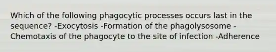 Which of the following phagocytic processes occurs last in the sequence? -Exocytosis -Formation of the phagolysosome -Chemotaxis of the phagocyte to the site of infection -Adherence