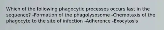 Which of the following phagocytic processes occurs last in the sequence? -Formation of the phagolysosome -Chemotaxis of the phagocyte to the site of infection -Adherence -Exocytosis