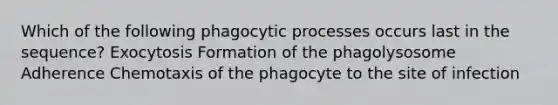 Which of the following phagocytic processes occurs last in the sequence? Exocytosis Formation of the phagolysosome Adherence Chemotaxis of the phagocyte to the site of infection