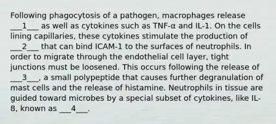 Following phagocytosis of a pathogen, macrophages release ___1___ as well as cytokines such as TNF-α and IL-1. On the cells lining capillaries, these cytokines stimulate the production of ___2___ that can bind ICAM-1 to the surfaces of neutrophils. In order to migrate through the endothelial cell layer, tight junctions must be loosened. This occurs following the release of ___3___, a small polypeptide that causes further degranulation of mast cells and the release of histamine. Neutrophils in tissue are guided toward microbes by a special subset of cytokines, like IL-8, known as ___4___.