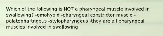 Which of the following is NOT a pharyngeal muscle involved in swallowing? -omohyoid -pharyngeal constrictor muscle -palatophartngeus -stylopharyngeus -they are all pharyngeal muscles involved in swallowing