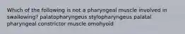 Which of the following is not a pharyngeal muscle involved in swallowing? palatopharyngeus stylopharyngeus palatal pharyngeal constrictor muscle omohyoid