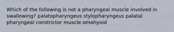 Which of the following is not a pharyngeal muscle involved in swallowing? palatopharyngeus stylopharyngeus palatal pharyngeal constrictor muscle omohyoid