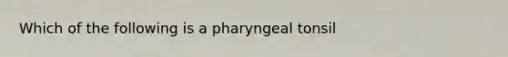 Which of the following is a pharyngeal tonsil