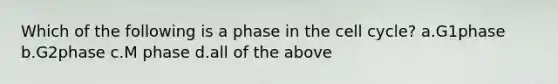 Which of the following is a phase in the cell cycle? a.G1phase b.G2phase c.M phase d.all of the above