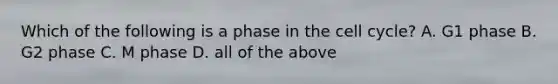 Which of the following is a phase in the cell cycle? A. G1 phase B. G2 phase C. M phase D. all of the above