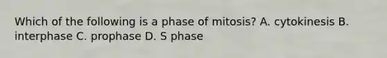 Which of the following is a phase of mitosis? A. cytokinesis B. interphase C. prophase D. S phase