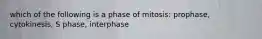 which of the following is a phase of mitosis: prophase, cytokinesis, S phase, interphase