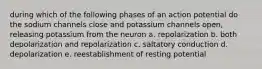 during which of the following phases of an action potential do the sodium channels close and potassium channels open, releasing potassium from the neuron a. repolarization b. both depolarization and repolarization c. saltatory conduction d. depolarization e. reestablishment of resting potential