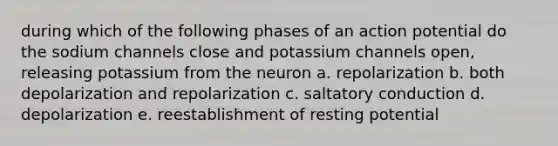 during which of the following phases of an action potential do the sodium channels close and potassium channels open, releasing potassium from the neuron a. repolarization b. both depolarization and repolarization c. saltatory conduction d. depolarization e. reestablishment of resting potential