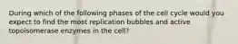 During which of the following phases of the cell cycle would you expect to find the most replication bubbles and active topoisomerase enzymes in the cell?