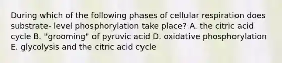 During which of the following phases of cellular respiration does substrate- level phosphorylation take place? A. the citric acid cycle B. "grooming" of pyruvic acid D. oxidative phosphorylation E. glycolysis and the citric acid cycle