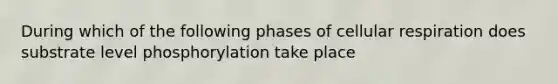 During which of the following phases of <a href='https://www.questionai.com/knowledge/k1IqNYBAJw-cellular-respiration' class='anchor-knowledge'>cellular respiration</a> does substrate level phosphorylation take place