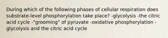 During which of the following phases of cellular respiration does substrate-level phosphorylation take place? -glycolysis -the citric acid cycle -"grooming" of pyruvate -oxidative phosphorylation -glycolysis and the citric acid cycle