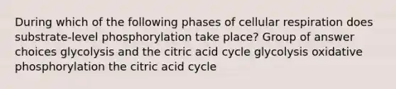 During which of the following phases of cellular respiration does substrate-level phosphorylation take place? Group of answer choices glycolysis and the citric acid cycle glycolysis oxidative phosphorylation the citric acid cycle