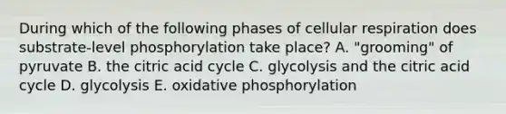 During which of the following phases of cellular respiration does substrate-level phosphorylation take place? A. "grooming" of pyruvate B. the citric acid cycle C. glycolysis and the citric acid cycle D. glycolysis E. oxidative phosphorylation