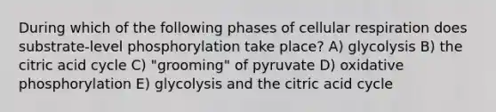 During which of the following phases of cellular respiration does substrate-level phosphorylation take place? A) glycolysis B) the citric acid cycle C) "grooming" of pyruvate D) oxidative phosphorylation E) glycolysis and the citric acid cycle