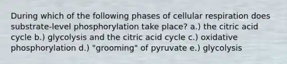 During which of the following phases of cellular respiration does substrate-level phosphorylation take place? a.) the citric acid cycle b.) glycolysis and the citric acid cycle c.) oxidative phosphorylation d.) "grooming" of pyruvate e.) glycolysis