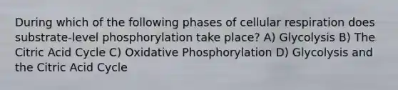 During which of the following phases of cellular respiration does substrate-level phosphorylation take place? A) Glycolysis B) The Citric Acid Cycle C) Oxidative Phosphorylation D) Glycolysis and the Citric Acid Cycle