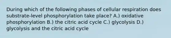 During which of the following phases of cellular respiration does substrate-level phosphorylation take place? A.) oxidative phosphorylation B.) the citric acid cycle C.) glycolysis D.) glycolysis and the citric acid cycle