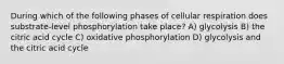 During which of the following phases of cellular respiration does substrate-level phosphorylation take place? A) glycolysis B) the citric acid cycle C) oxidative phosphorylation D) glycolysis and the citric acid cycle