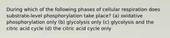 During which of the following phases of cellular respiration does substrate-level phosphorylation take place? (a) oxidative phosphorylation only (b) glycolysis only (c) glycolysis and the citric acid cycle (d) the citric acid cycle only