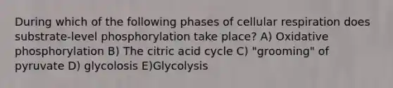 During which of the following phases of cellular respiration does substrate-level phosphorylation take place? A) <a href='https://www.questionai.com/knowledge/kFazUb9IwO-oxidative-phosphorylation' class='anchor-knowledge'>oxidative phosphorylation</a> B) The citric acid cycle C) "grooming" of pyruvate D) glycolosis E)Glycolysis