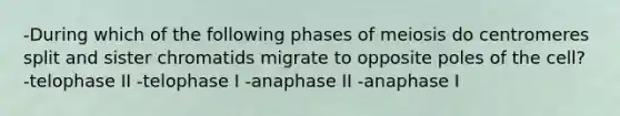 -During which of the following phases of meiosis do centromeres split and sister chromatids migrate to opposite poles of the cell? -telophase II -telophase I -anaphase II -anaphase I