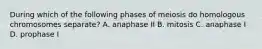 During which of the following phases of meiosis do homologous chromosomes separate? A. anaphase II B. mitosis C. anaphase I D. prophase I