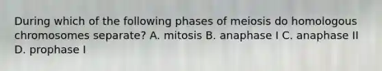 During which of the following phases of meiosis do homologous chromosomes separate? A. mitosis B. anaphase I C. anaphase II D. prophase I