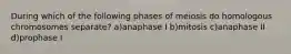 During which of the following phases of meiosis do homologous chromosomes separate? a)anaphase I b)mitosis c)anaphase II d)prophase I