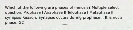 Which of the following are phases of meiosis? Multiple select question. Prophase I Anaphase II Telophase I Metaphase II synapsis Reason: Synapsis occurs during prophase I. It is not a phase. G2