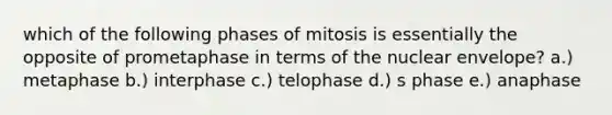 which of the following phases of mitosis is essentially the opposite of prometaphase in terms of the nuclear envelope? a.) metaphase b.) interphase c.) telophase d.) s phase e.) anaphase