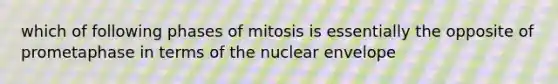 which of following phases of mitosis is essentially the opposite of prometaphase in terms of the nuclear envelope