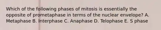 Which of the following phases of mitosis is essentially the opposite of prometaphase in terms of the nuclear envelope? A. Metaphase B. Interphase C. Anaphase D. Telophase E. S phase