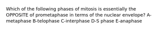 Which of the following phases of mitosis is essentially the OPPOSITE of prometaphase in terms of the nuclear envelope? A-metaphase B-telophase C-interphase D-S phase E-anaphase