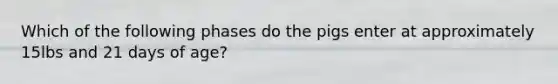 Which of the following phases do the pigs enter at approximately 15lbs and 21 days of age?