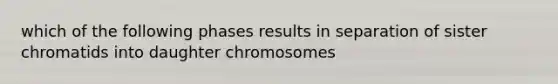 which of the following phases results in separation of sister chromatids into daughter chromosomes